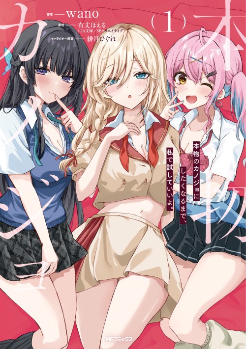 Honmono no Kanojo ni Shitakunaru Made, Watashi de Tameshite Ii yo