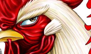 Rooster Fighter